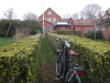 adgangssti-med-Buxus